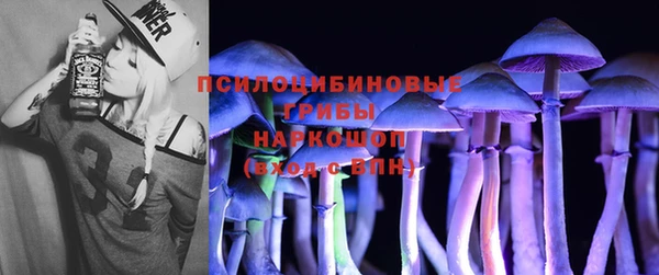 тгк Армянск