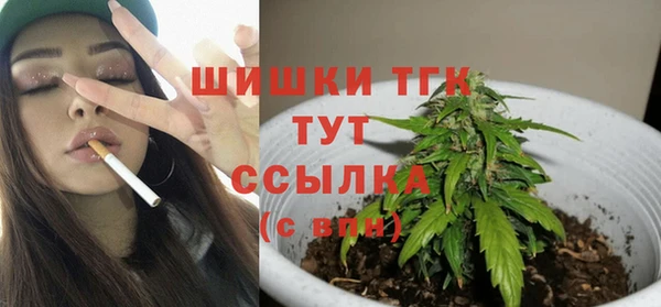 тгк Армянск