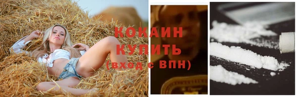 ПСИЛОЦИБИНОВЫЕ ГРИБЫ Арсеньев