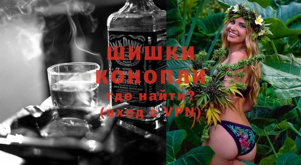 ПСИЛОЦИБИНОВЫЕ ГРИБЫ Арсеньев
