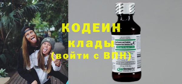 ПСИЛОЦИБИНОВЫЕ ГРИБЫ Арсеньев