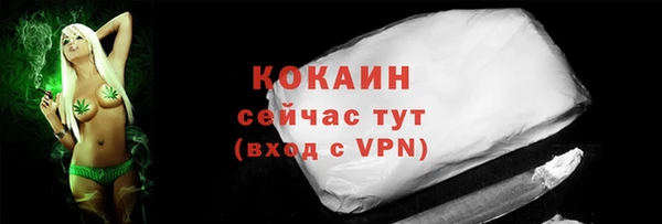 тгк Армянск