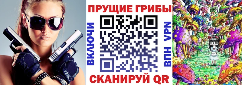 Псилоцибиновые грибы Cubensis Колпашево